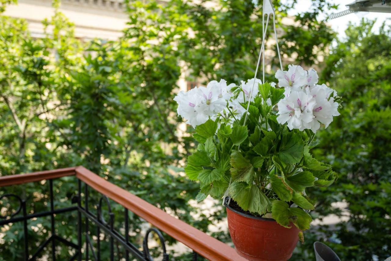Boutique Hotel Avenue Баку Екстериор снимка